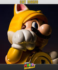 Cat Mario  (SMCMR022.jpg)