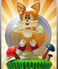 Tails Exclusive (STHCTX013.jpg)