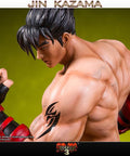 Jin Kazama - TEKKEN 3 (Exclusive) (TKJKBX024.jpg)