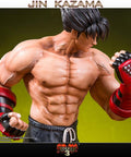 Jin Kazama - TEKKEN 3 (Exclusive) (TKJKBX026.jpg)