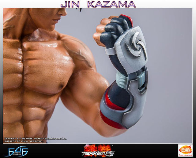 Jin Kazama - TEKKEN 5 (Regular) (TKJKWR015.jpg)