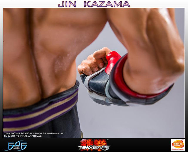 Jin Kazama - TEKKEN 5 (Regular) (TKJKWR016.jpg)