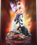 Jin Kazama - TEKKEN 5 (Exclusive) (TKJKWX001.jpg)