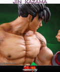 Jin Kazama - TEKKEN 5 (Exclusive) (TKJKWX028.jpg)