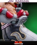 Jin Kazama - TEKKEN 5 (Exclusive) (TKJKWX030.jpg)