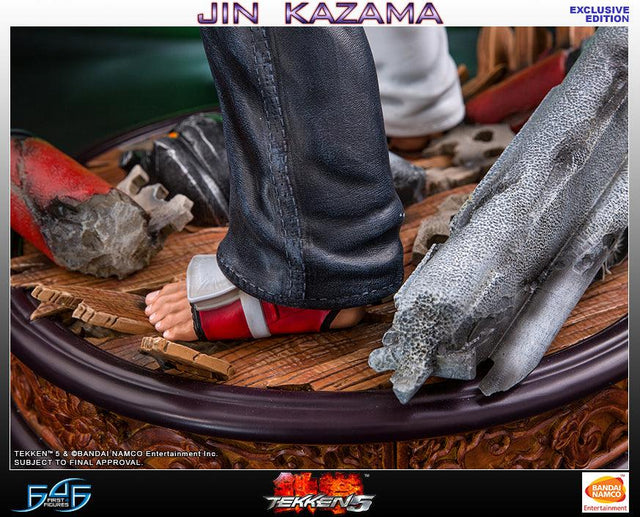 Jin Kazama - TEKKEN 5 (Exclusive) (TKJKWX031.jpg)
