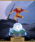 Avatar: The Last Airbender - Aang PVC Collector’s Edition (aangce_01.jpg)
