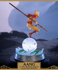 Avatar: The Last Airbender - Aang PVC Collector’s Edition (aangce_03.jpg)