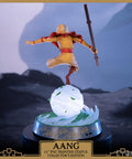 Avatar: The Last Airbender - Aang PVC Collector’s Edition (aangce_05.jpg)