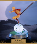 Avatar: The Last Airbender - Aang PVC Collector’s Edition (aangce_06.jpg)