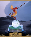 Avatar: The Last Airbender - Aang PVC Collector’s Edition (aangce_07.jpg)