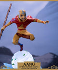 Avatar: The Last Airbender - Aang PVC Collector’s Edition (aangce_12.jpg)