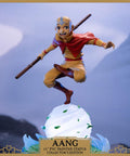 Avatar: The Last Airbender - Aang PVC Collector’s Edition (aangce_13.jpg)