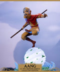 Avatar: The Last Airbender - Aang PVC Collector’s Edition (aangce_14.jpg)