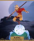Avatar: The Last Airbender - Aang PVC Collector’s Edition (aangce_16.jpg)