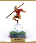 Avatar: The Last Airbender - Aang PVC Collector’s Edition (aangce_23.jpg)
