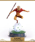 Avatar: The Last Airbender - Aang PVC Collector’s Edition (aangce_26.jpg)