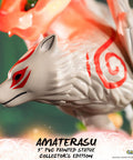 Ōkami – Amaterasu Collector's Edition (ammy_collectorh_05_1.jpg)