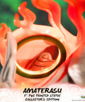 Ōkami – Amaterasu Collector's Edition (ammy_collectorh_29_1.jpg)