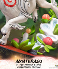 Ōkami – Amaterasu Collector's Edition (ammy_collectorh_38_1.jpg)