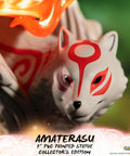 Ōkami – Amaterasu Collector's Edition (ammy_collectorh_39_1.jpg)