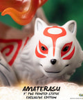 Ōkami – Amaterasu Exclusive Edition (ammy_exch_04.jpg)