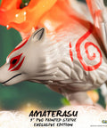 Ōkami – Amaterasu Exclusive Edition (ammy_exch_05.jpg)