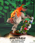 Ōkami – Amaterasu Exclusive Edition (ammy_exch_11.jpg)