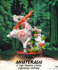 Ōkami – Amaterasu Exclusive Edition (ammy_exch_21.jpg)