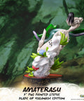 Ōkami – Amaterasu Blade of Kusanagi Edition (ammy_swordh21.jpg)