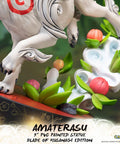 Ōkami – Amaterasu Blade of Kusanagi Edition (ammy_swordh35.jpg)