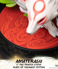 Ōkami – Amaterasu Blade of Kusanagi Edition (ammy_swordh41.jpg)