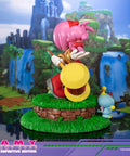 Sonic the Hedgehog - Amy Definitive Edition (amyrose-de_02.jpg)
