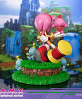 Sonic the Hedgehog - Amy Definitive Edition (amyrose-de_03.jpg)