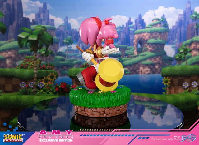Sonic the Hedgehog - Amy Exclusive Edition (amyrose-ex_03.jpg)