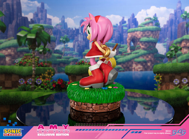 Sonic the Hedgehog - Amy Exclusive Edition (amyrose-ex_06.jpg)