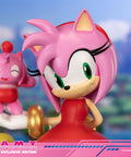 Sonic the Hedgehog - Amy Exclusive Edition (amyrose-ex_10.jpg)