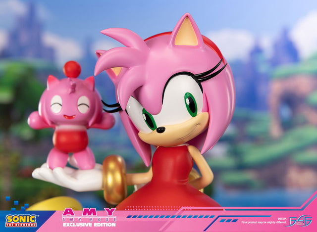 Sonic the Hedgehog - Amy Exclusive Edition (amyrose-ex_10.jpg)