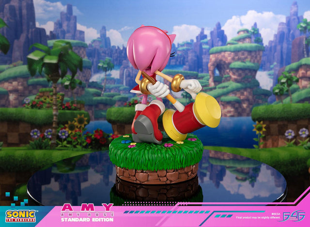 Sonic the Hedgehog - Amy Standard Edition (amyrose-st_04.jpg)