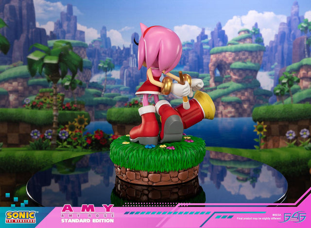 Sonic the Hedgehog - Amy Standard Edition (amyrose-st_05.jpg)