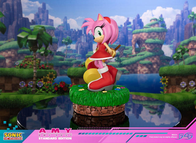 Sonic the Hedgehog - Amy Standard Edition (amyrose-st_07.jpg)