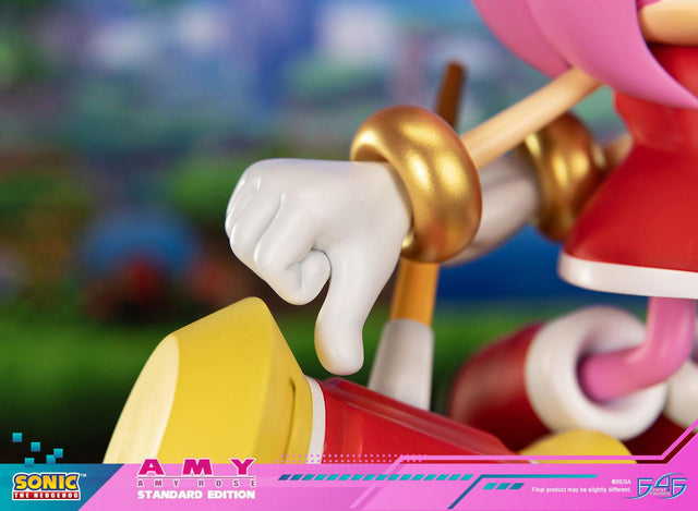 Sonic the Hedgehog - Amy Standard Edition (amyrose-st_12.jpg)