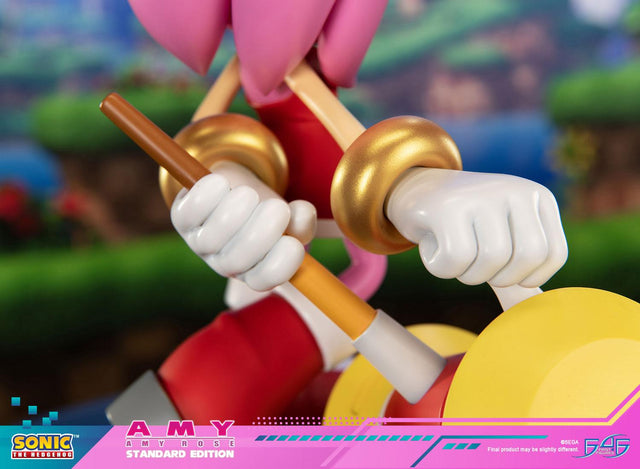 Sonic the Hedgehog - Amy Standard Edition (amyrose-st_13.jpg)