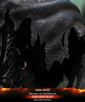 Dark Souls – Artorias the Abysswalker Life-Size Bust Exclusive Edition (artorias-lsbust-h-exc-20.jpg)