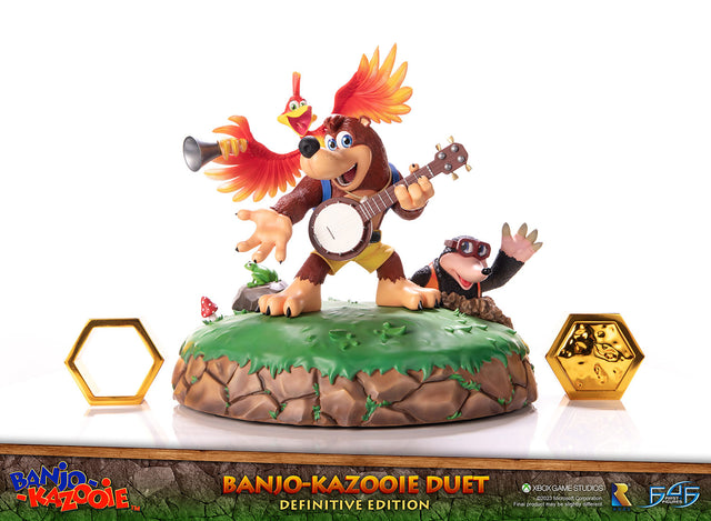 Banjo-Kazooie™ - Banjo-Kazooie Duet (Definitive Edition) (banjoduetde_24.jpg)