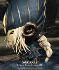 Dark Souls™ - Lord's Blade Ciaran SD (Exclusive) (ciaransd_st_17_1.jpg)