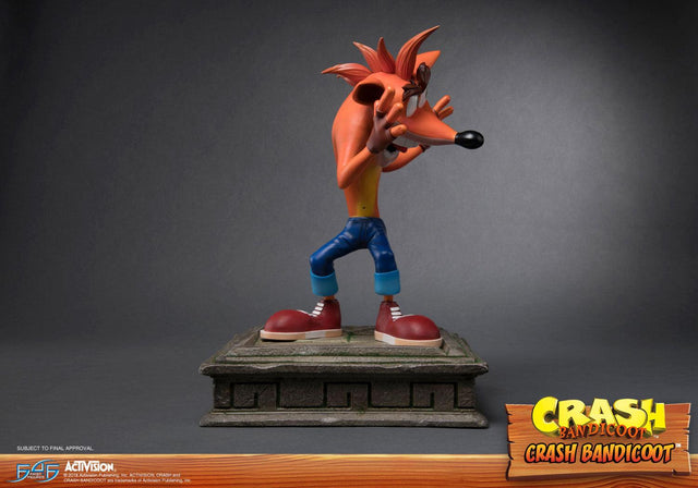 Crash Bandicoot (Regular) (crash-resin-horizontal-reg_08.jpg)