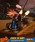 Crash Team Racing™ Nitro-Fueled - Crash In Kart (Exclusive Edition) (crashinkart_ex_07.jpg)