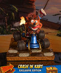 Crash Team Racing™ Nitro-Fueled - Crash In Kart (Exclusive Edition) (crashinkart_ex_08.jpg)