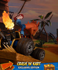 Crash Team Racing™ Nitro-Fueled - Crash In Kart (Exclusive Edition) (crashinkart_ex_10.jpg)